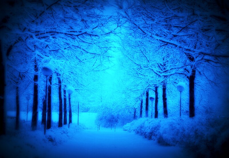 Snowy path under blue light