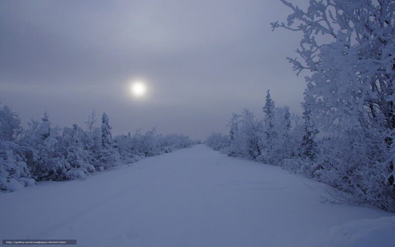 Snowy path under moonlight