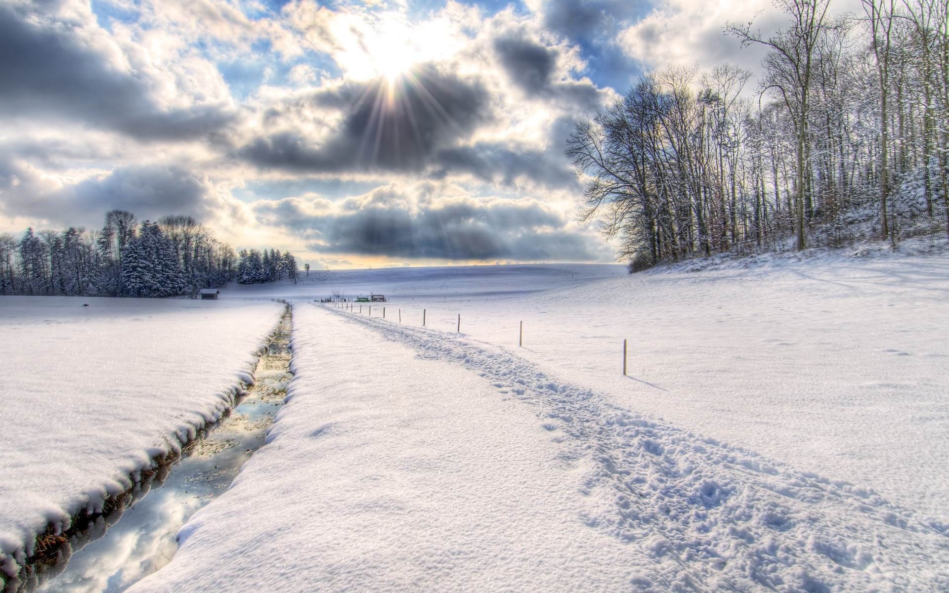 Snowy path under sun rays