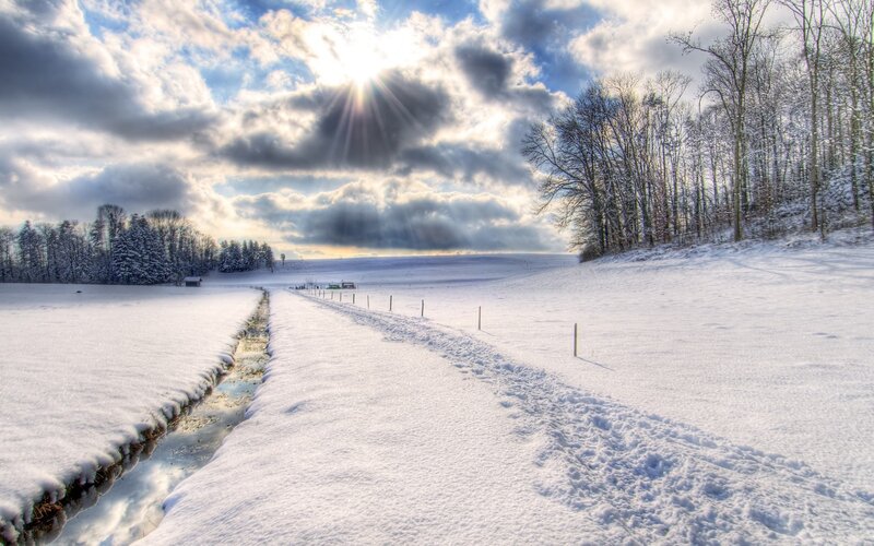 Snowy path under sun rays