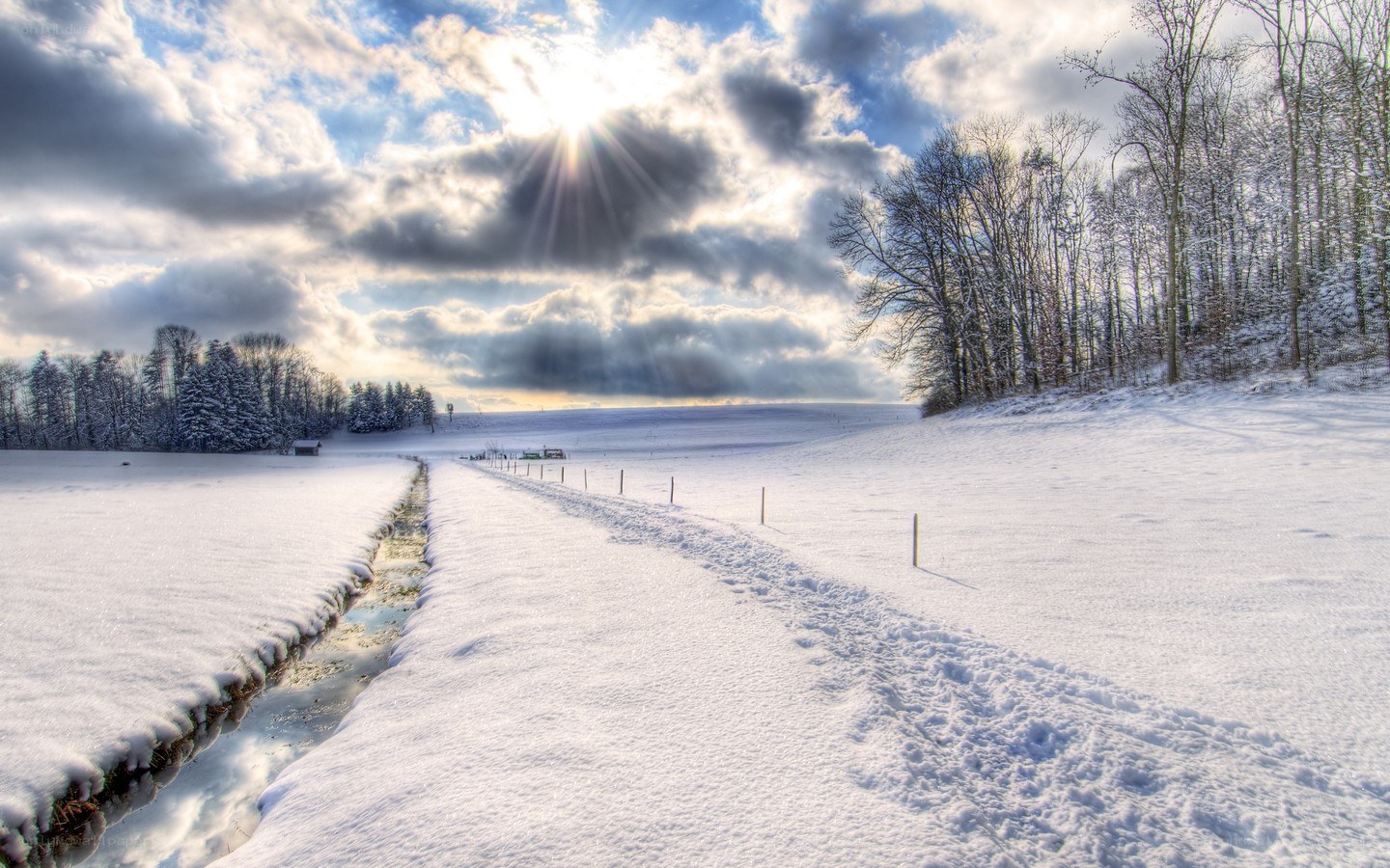 Snowy path under sun rays