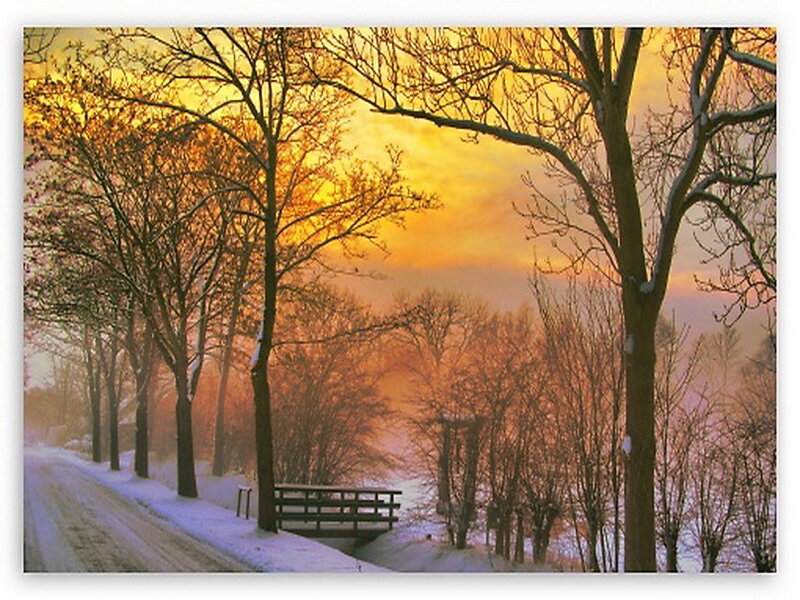 Snowy Path with Bridge — Orange, Serene