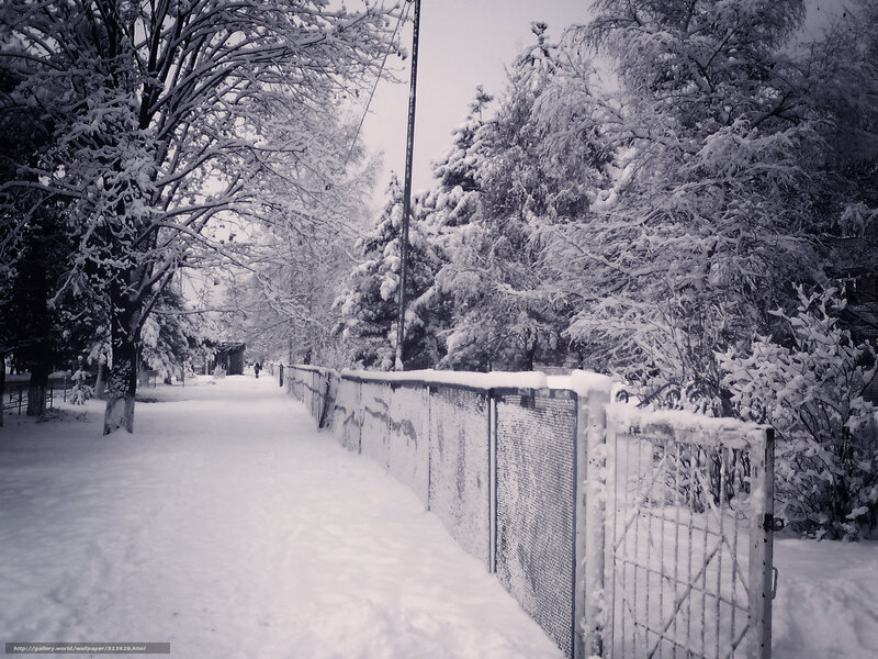 Snowy path with fence