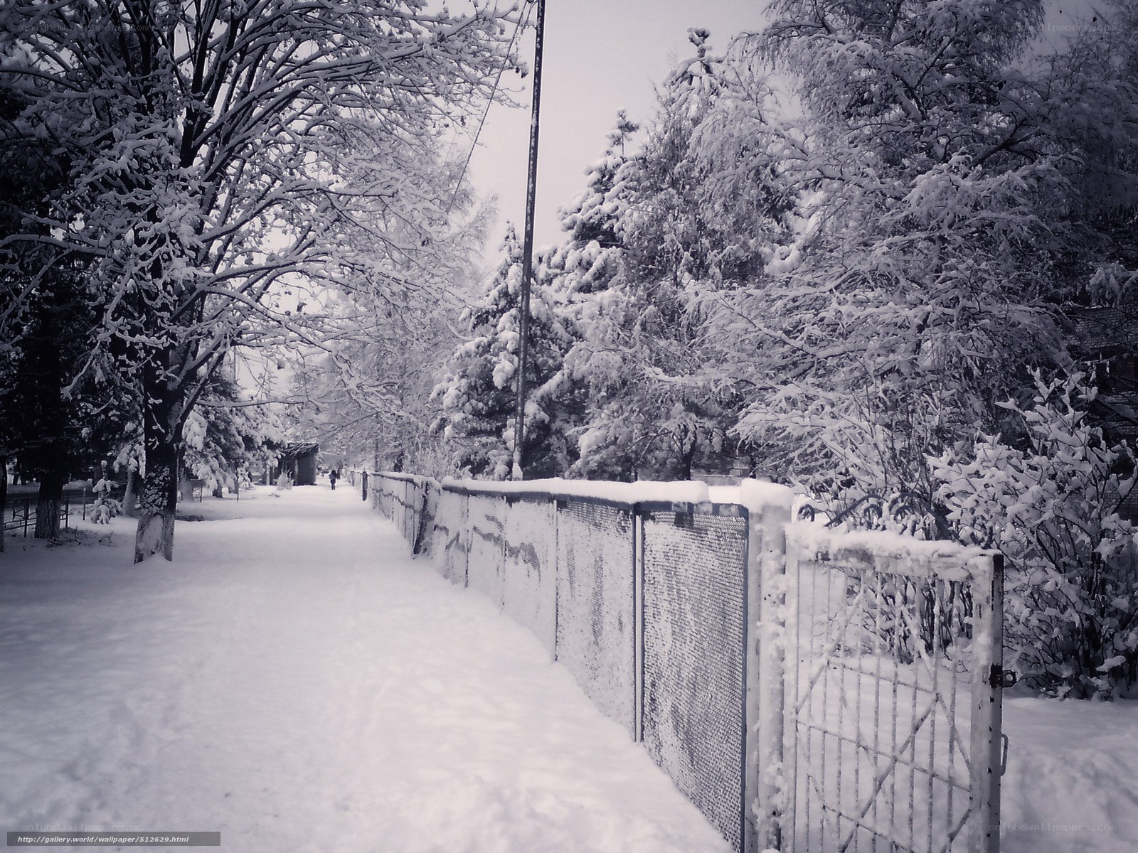 Snowy path with fence