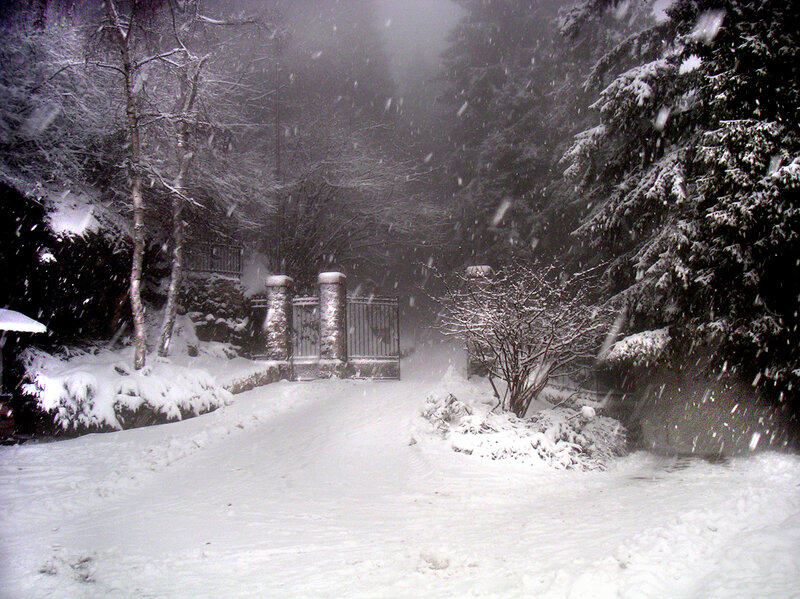 Snowy path with gate