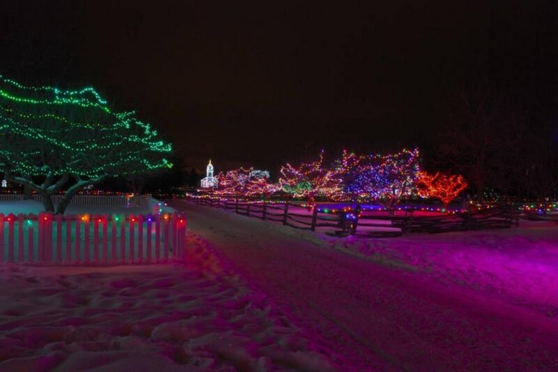 Snowy Path with Lights