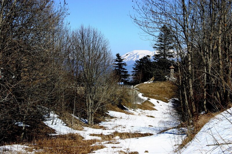 Snowy path with mountain view