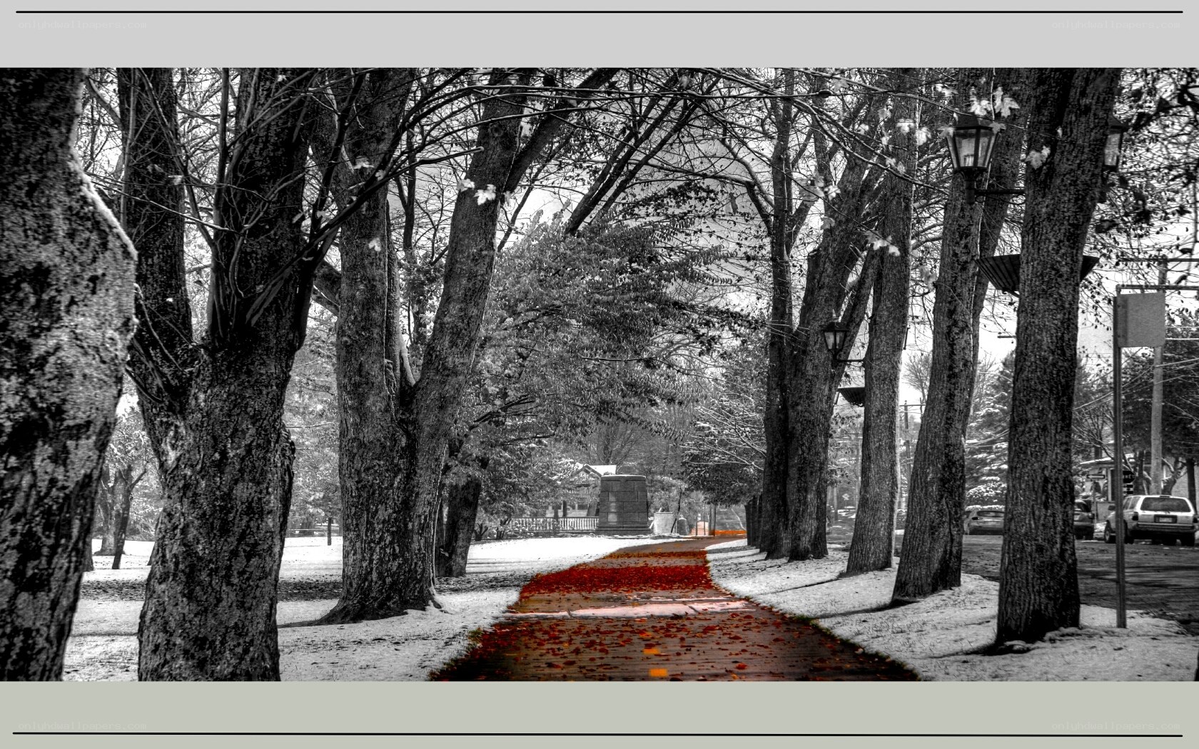 snowy path with red leaves