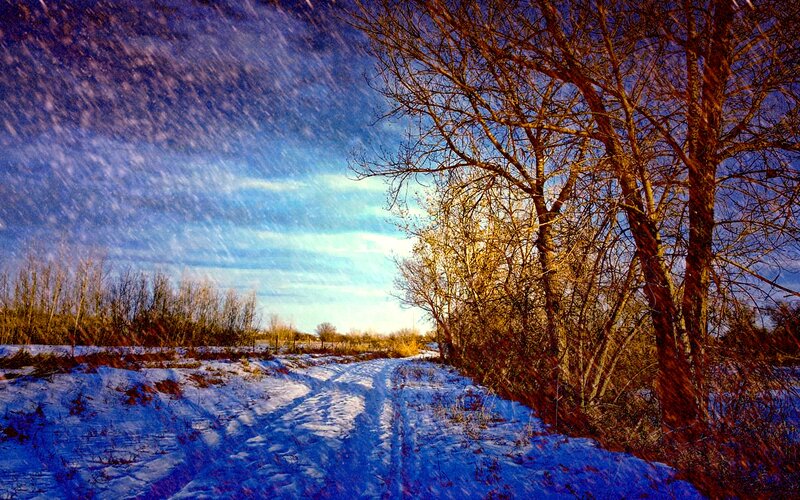 Snowy Path with Trees — Blue, Dramatic