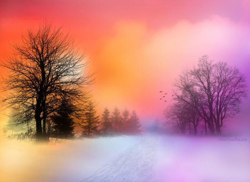 Snowy Path with Trees — Orange