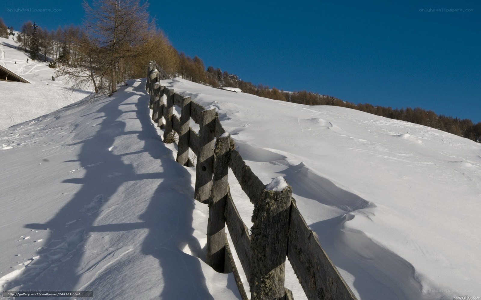 Snowy path with wooden fence