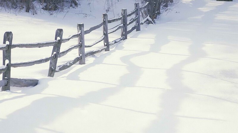 Snowy path with wooden fence