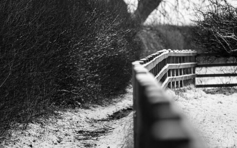 Snowy path with wooden fence