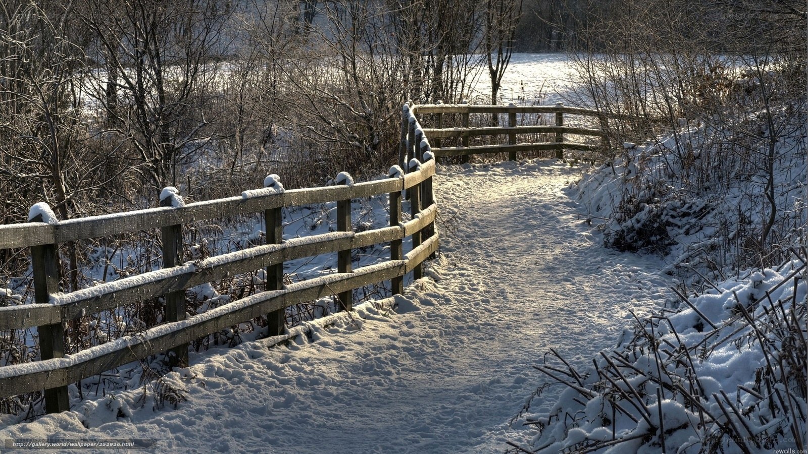 Snowy path with wooden fence