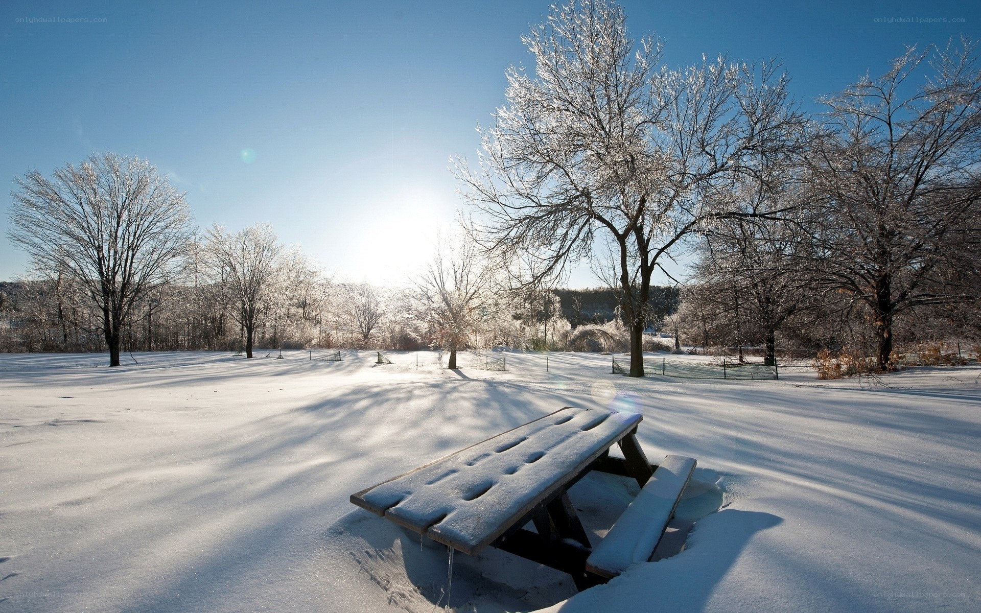 Snowy picnic table in winter