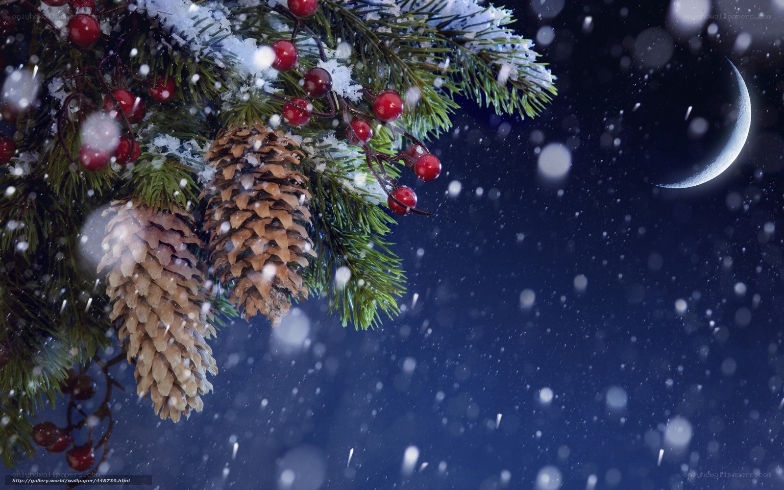 Snowy pine branch with berries