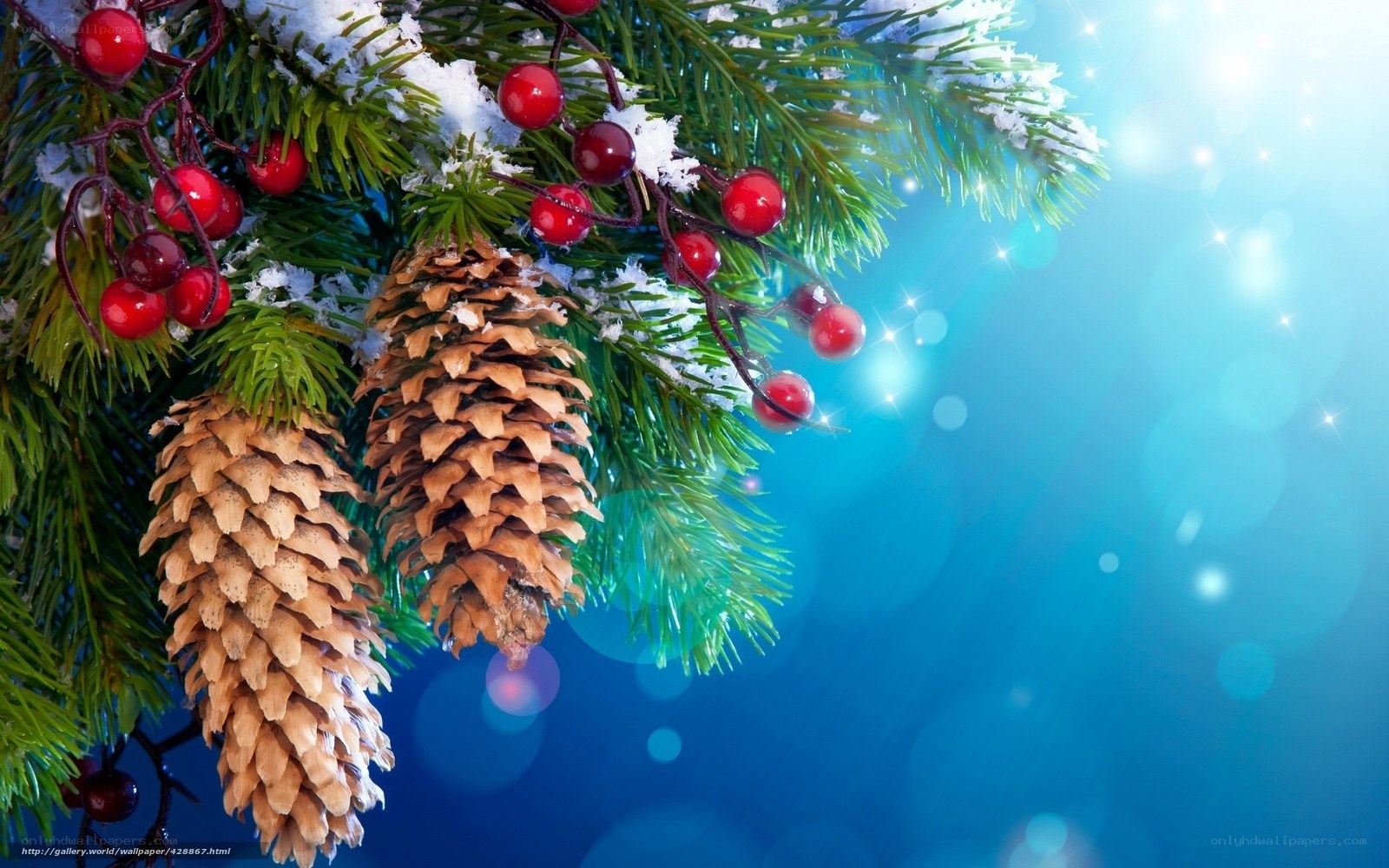 snowy pine branch with berries