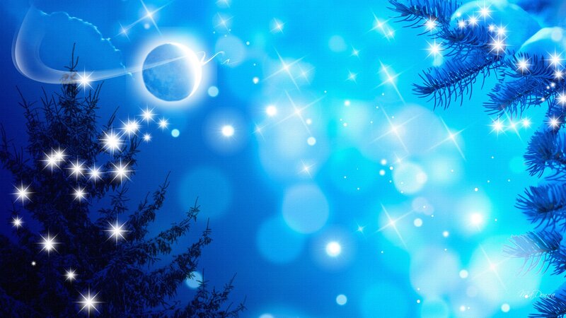 Snowy Pine Branches — Blue