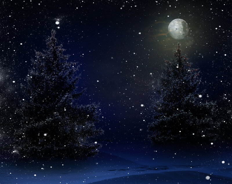 Snowy Pine Trees — Blue