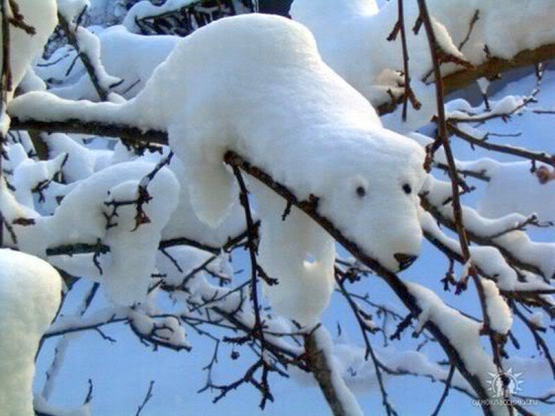 snowy polar bear sculpture