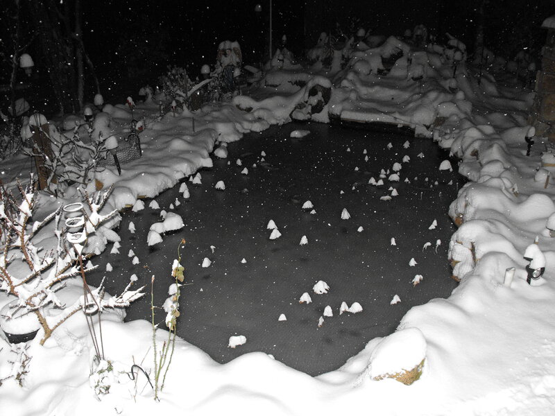 Snowy pond at night