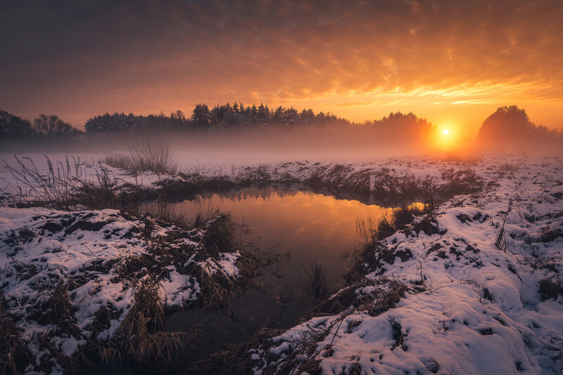 Snowy Pond at Sunrise
