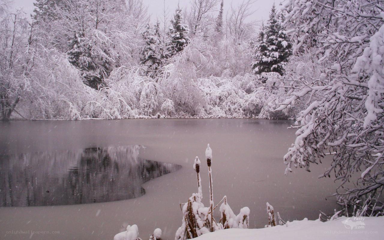 Snowy pond in winter