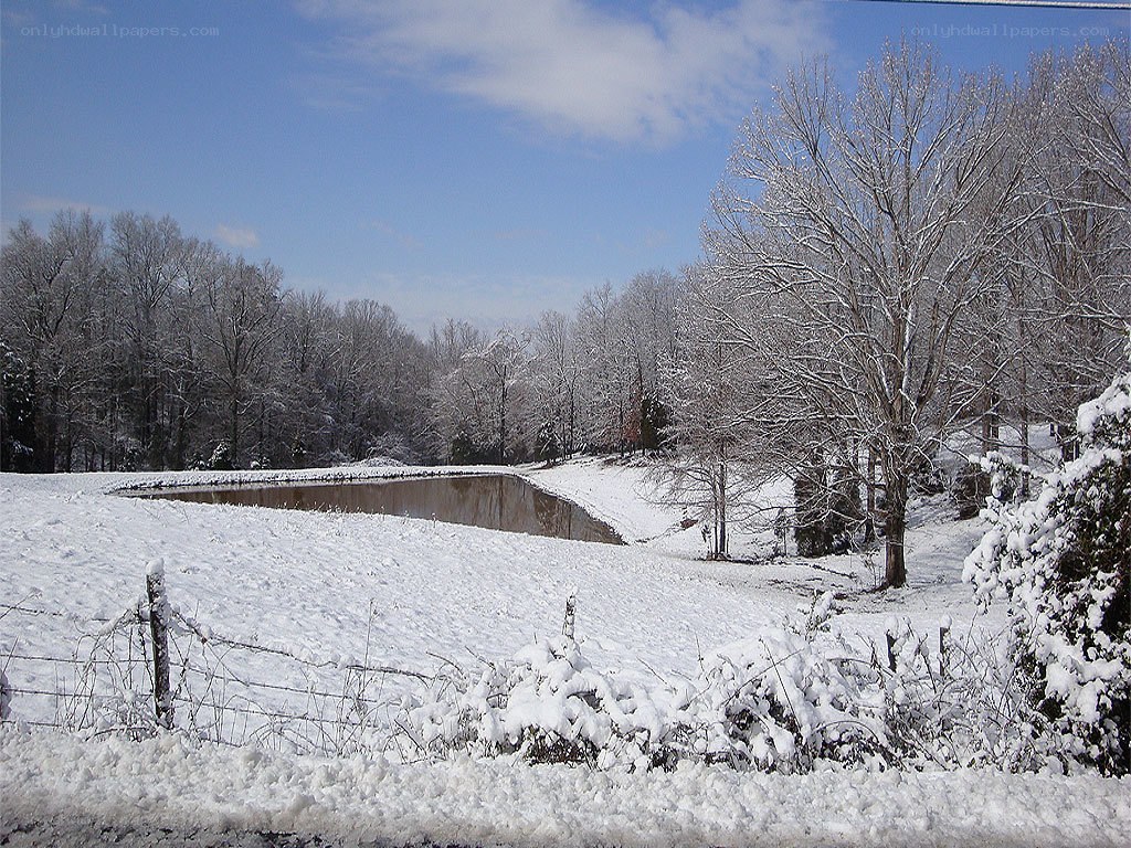 Snowy pond in winter landscape