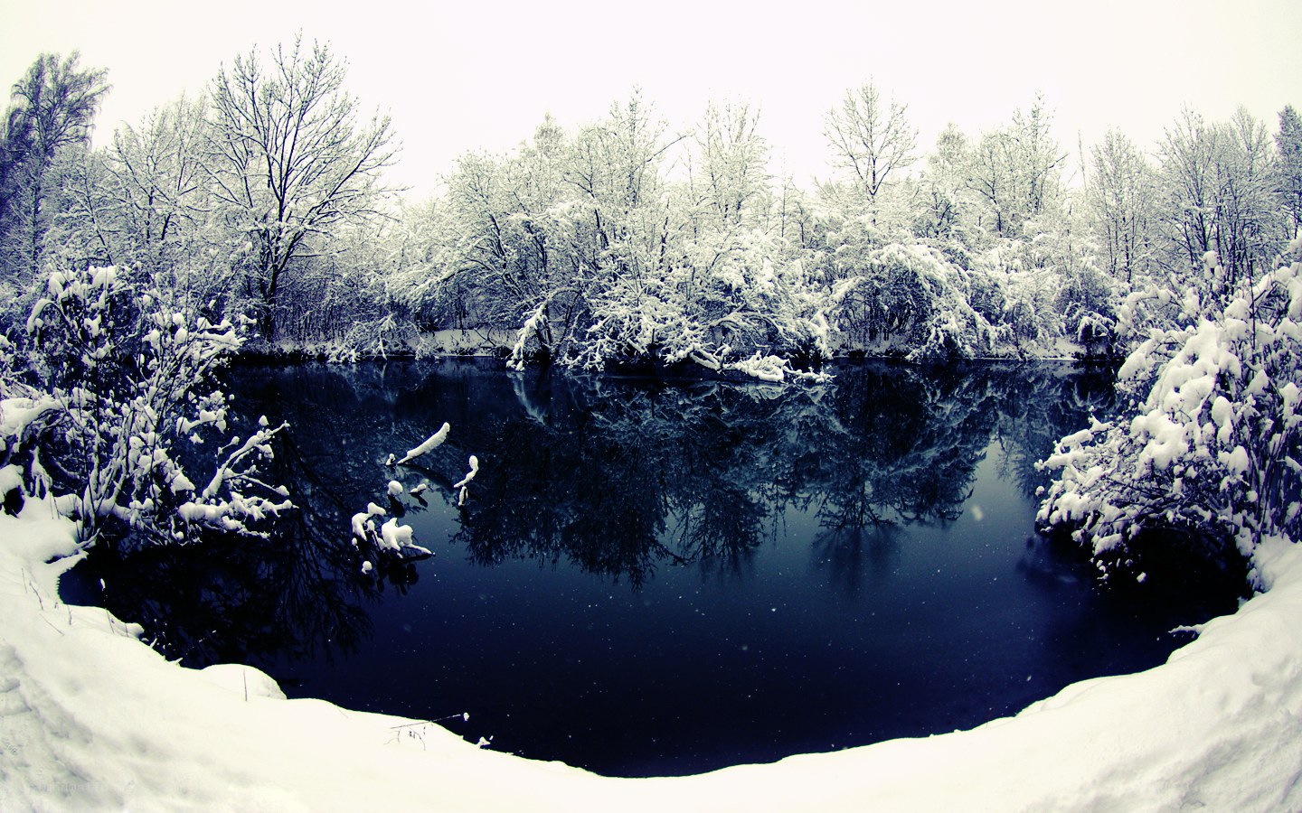 Snowy pond in winter