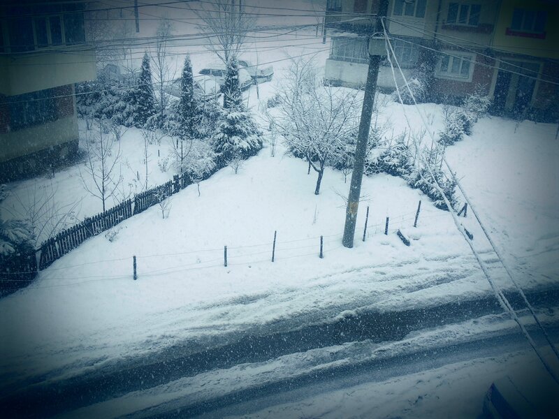 Snowy residential street