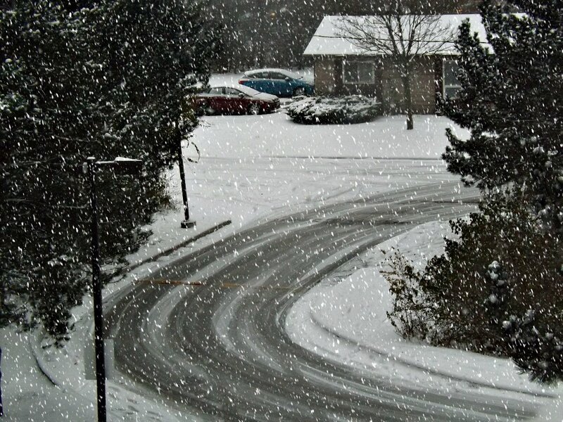 Snowy Residential Street — White