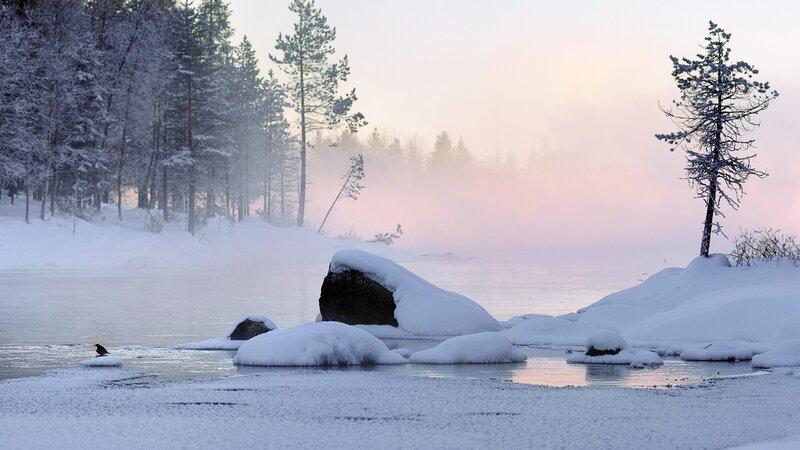Snowy river at dawn