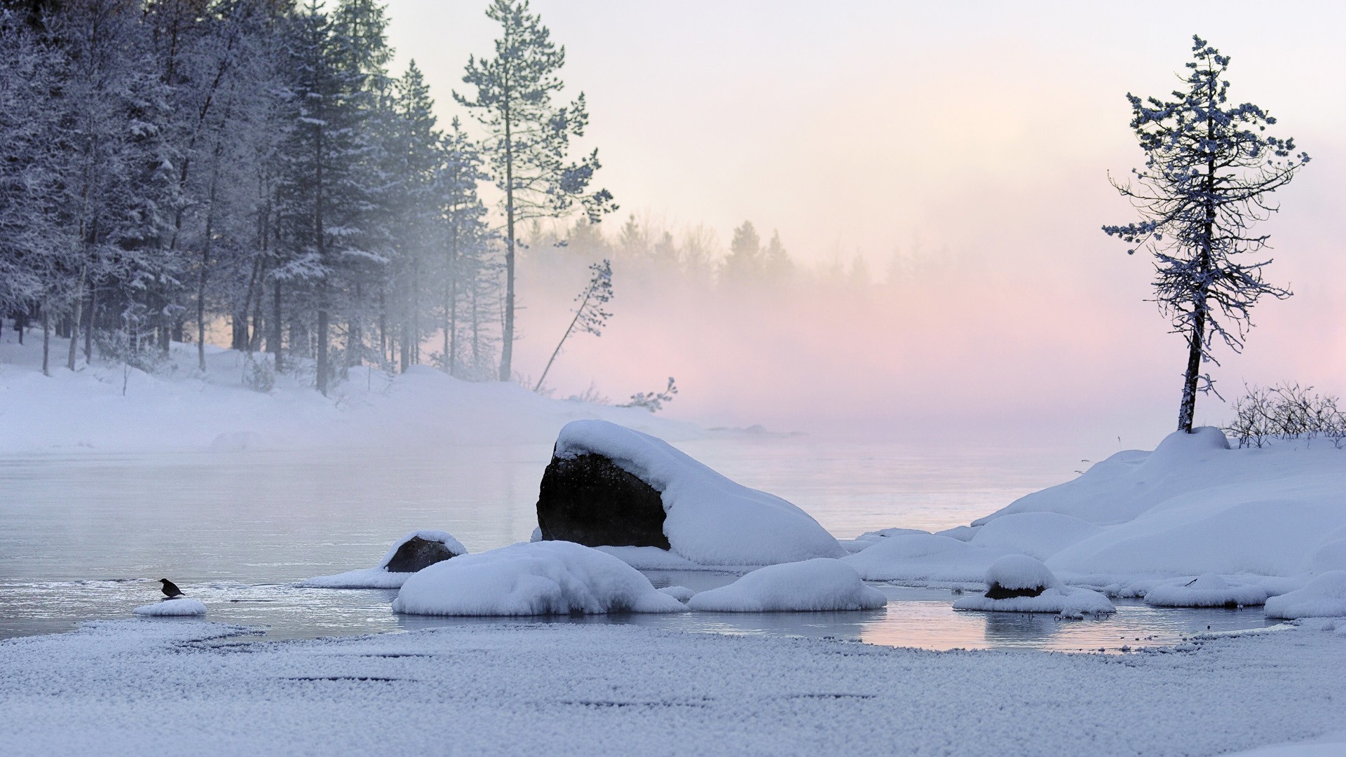 Snowy river at dawn