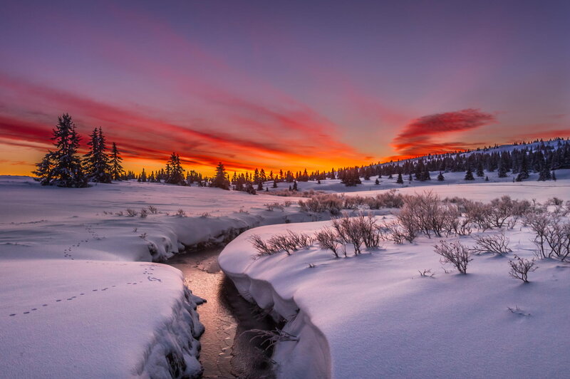 Snowy River at Sunset — Purple