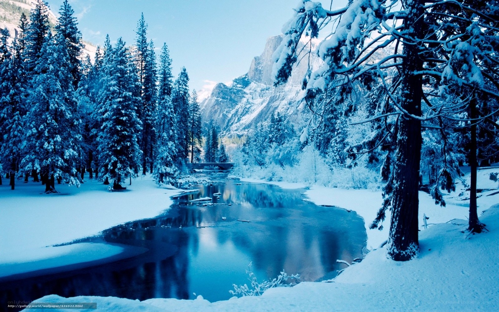 Snowy river in a forest
