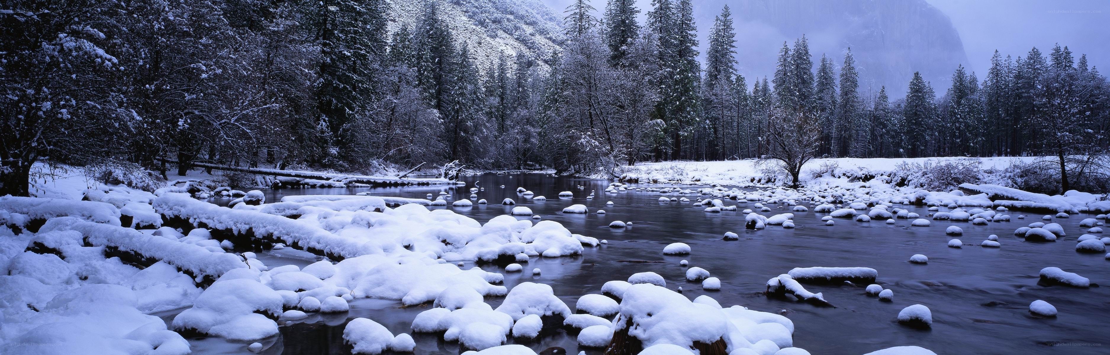 Snowy river in a forest