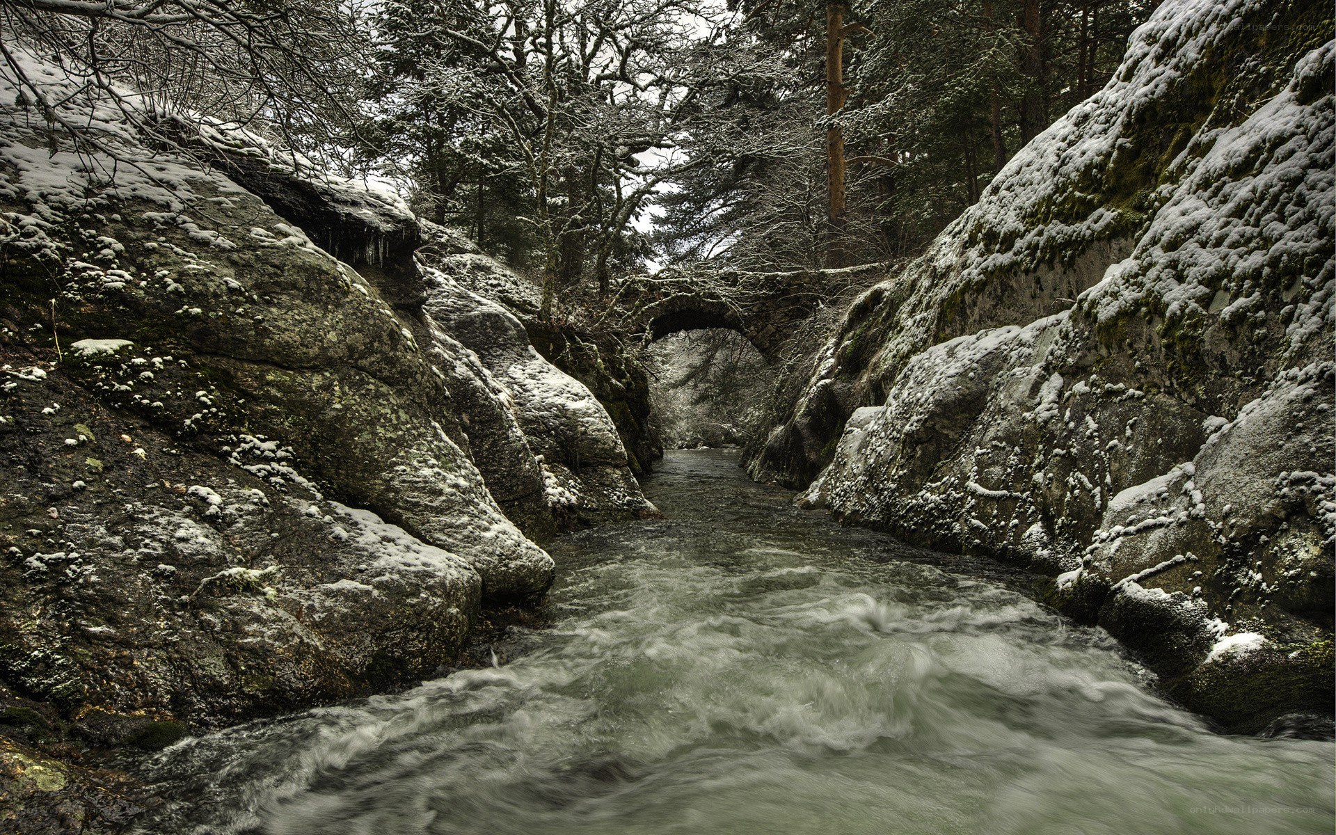 Snowy river in a forest canyon