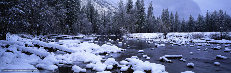 Snowy river in a forest