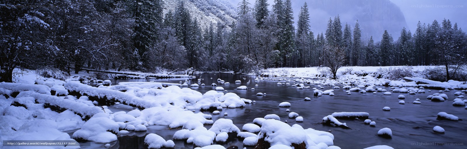 Snowy river in a forest