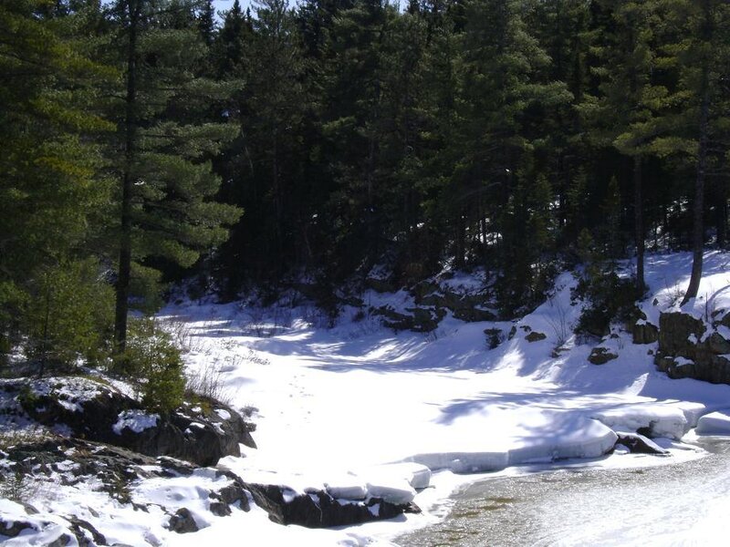 snowy river in forest