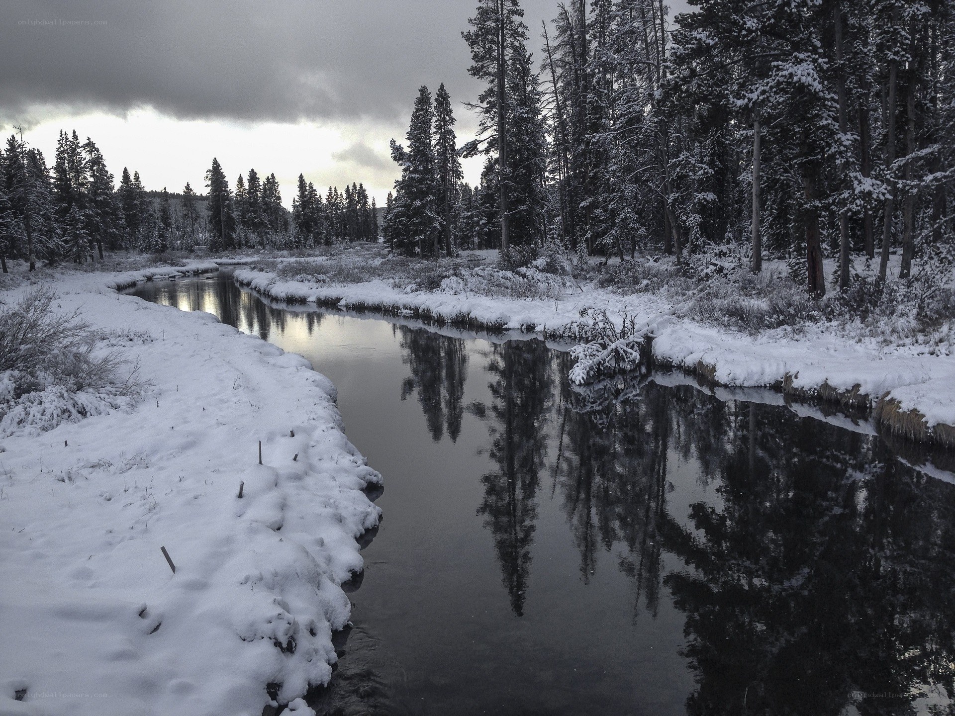 Snowy river in forest
