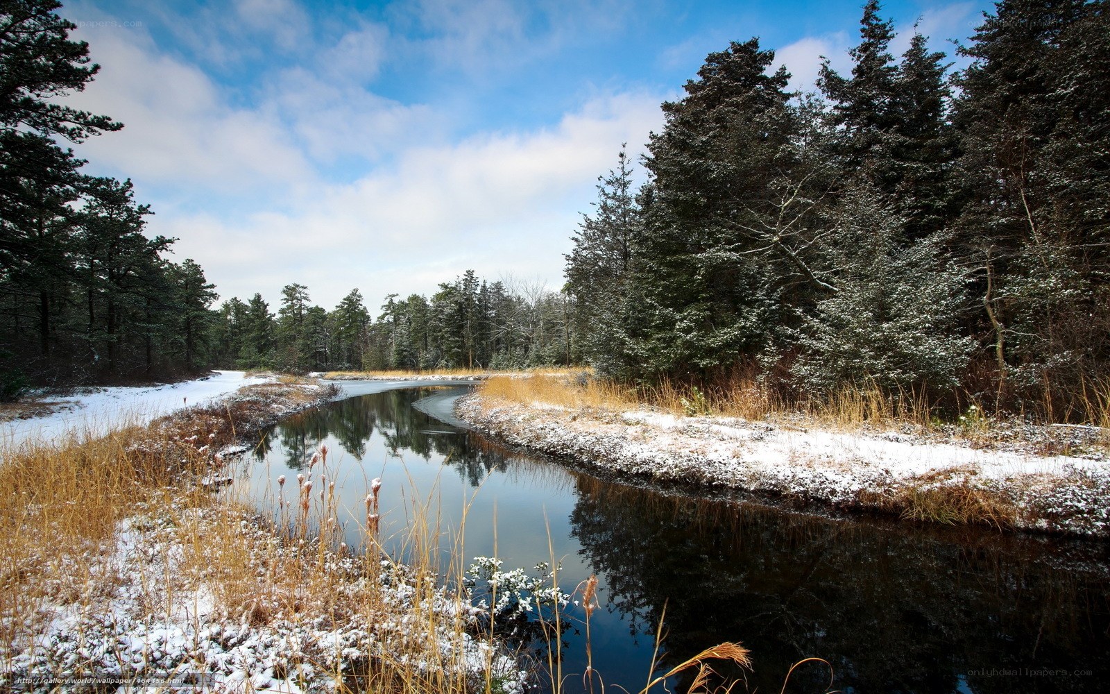 Snowy river in forest