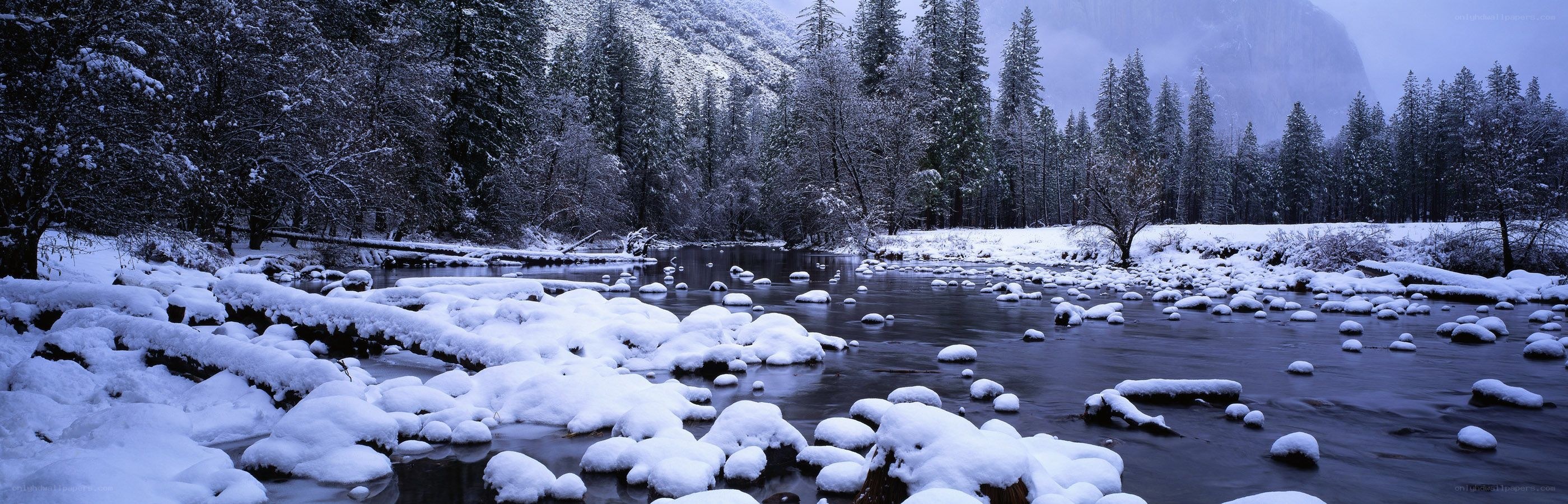 Snowy river in forest