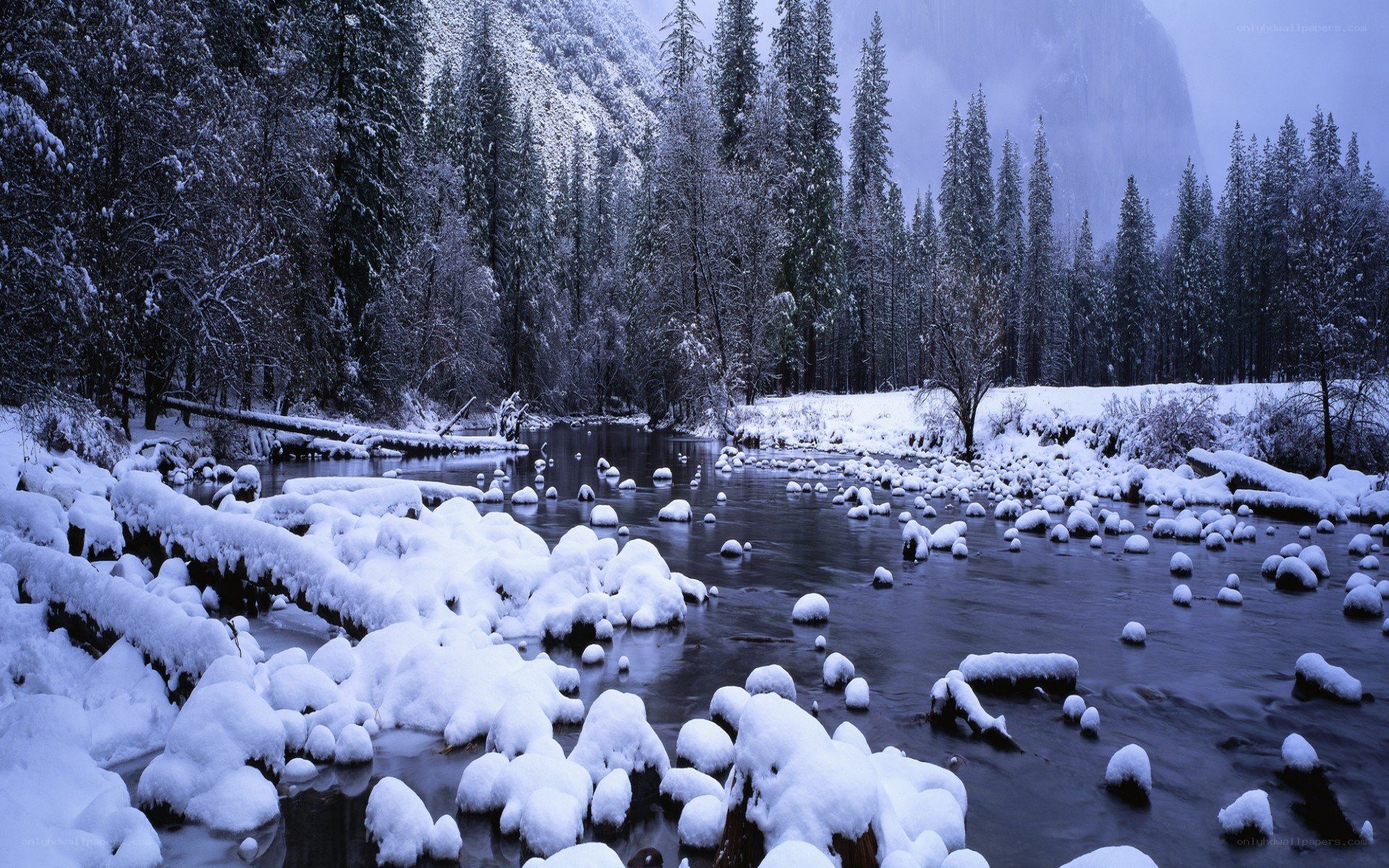 Snowy river in forest