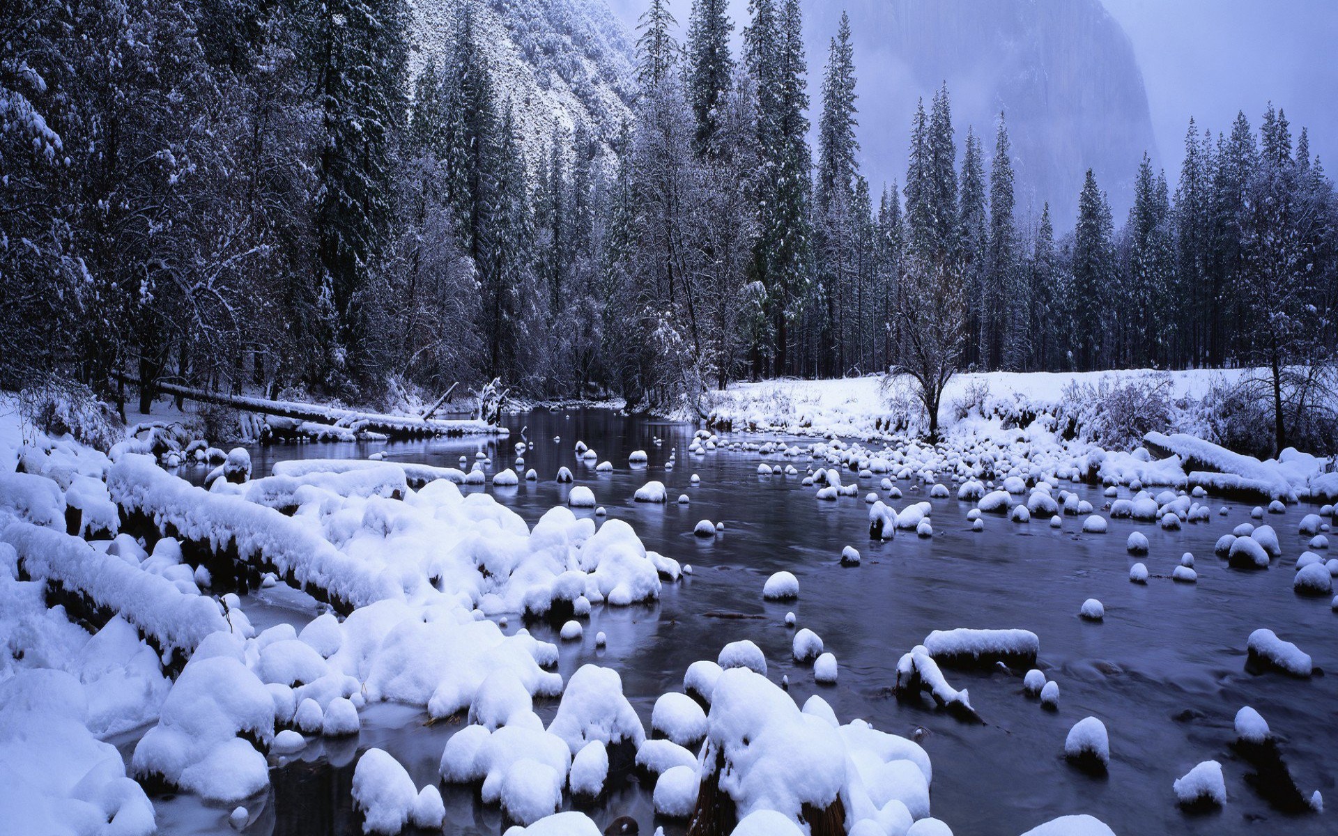 Snowy river in forest