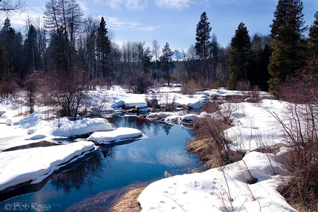 Snowy river in forest