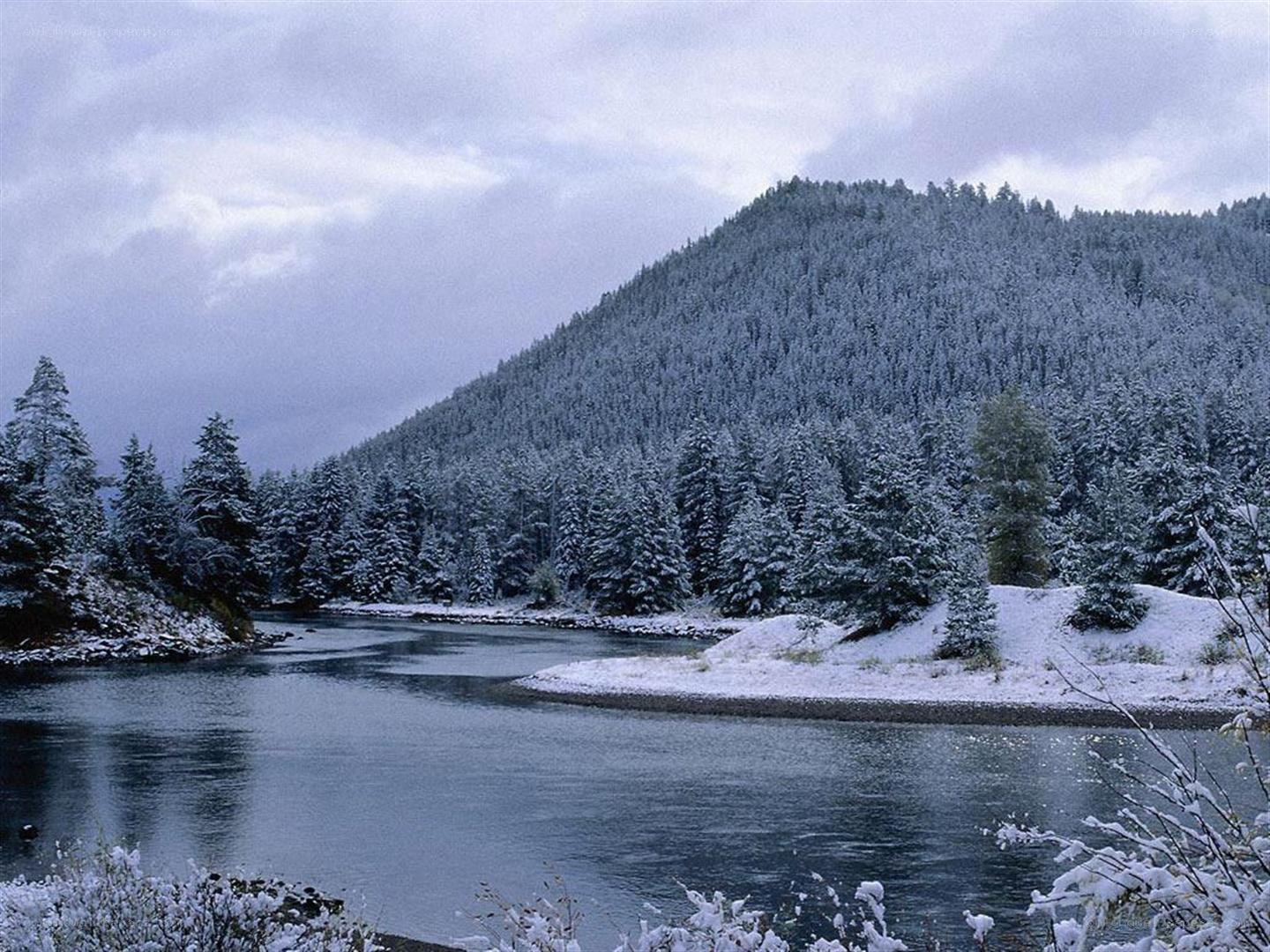 Snowy river in forest