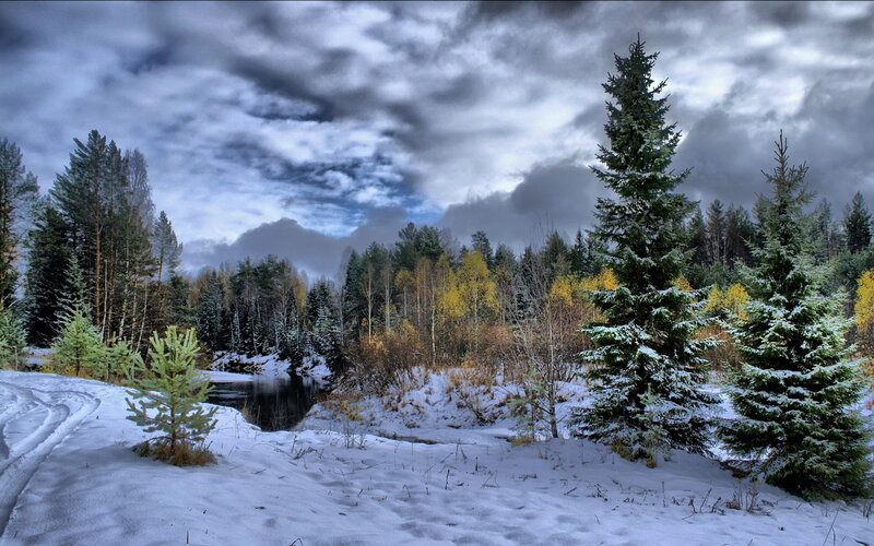 Snowy River in Forest — White, Dramatic