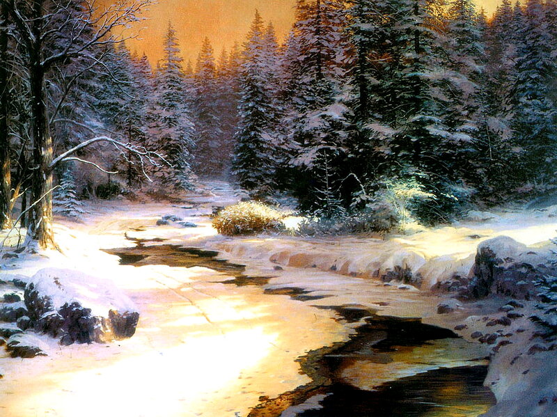 Snowy River in Forest — White, Serene