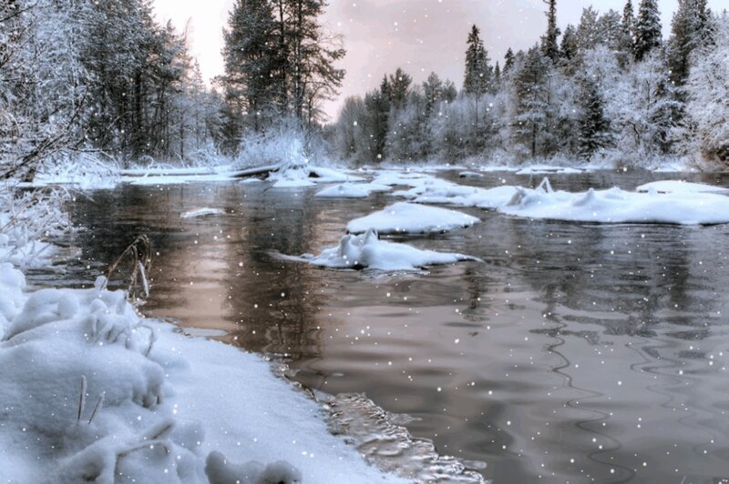Snowy River in Forest — White, Serene, Winter, Photograph, Trees, Snow, Snowflakes